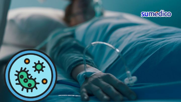 ¿Cómo se contagia y qué síntomas da la bacteria Klebsiella oxytoca?