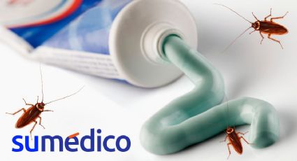 ¿Cómo acabar con las cucarachas fácil y rápido? Utiliza pasta dental