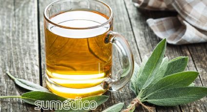 ¿Qué beneficios tiene el té de salvia? Los 5 beneficios que puede darte