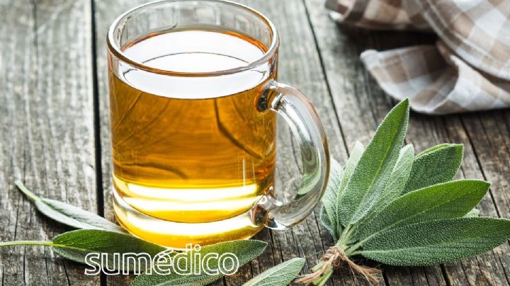 ¿Qué beneficios tiene el té de salvia? Los 5 beneficios que puede darte