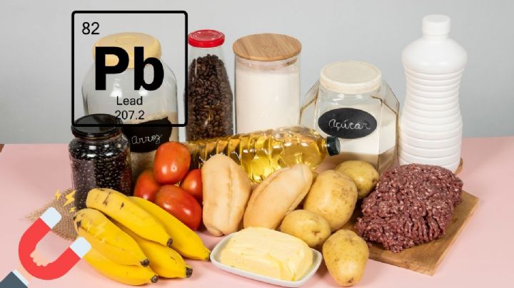 ¿Qué productos de la canasta básica podrían contener plomo?