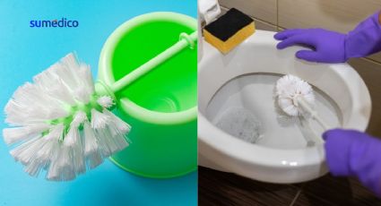 El truco para mantener la escobilla o cepillo del baño limpio y sin mal olor