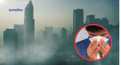 ¿Tienes alergias? La contaminación atmosférica podría ser la causa