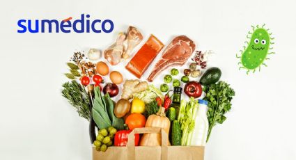 ¿Cuáles son las bacterias más comunes en los alimentos?