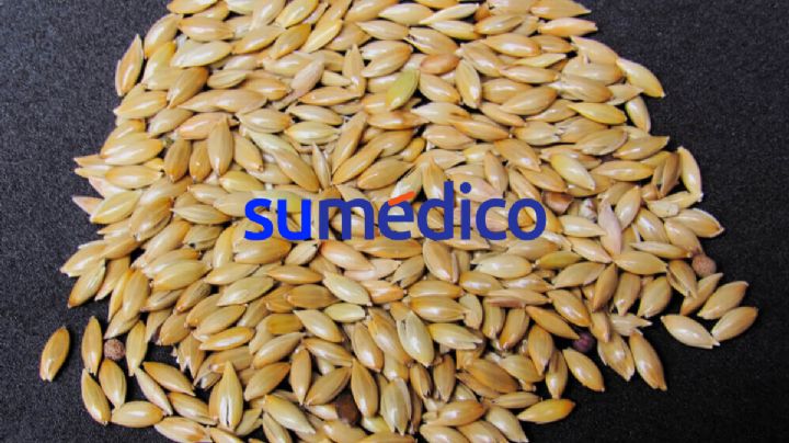 La semilla que te ayudará a cuidar tus riñones y regular la grasa del cuerpo