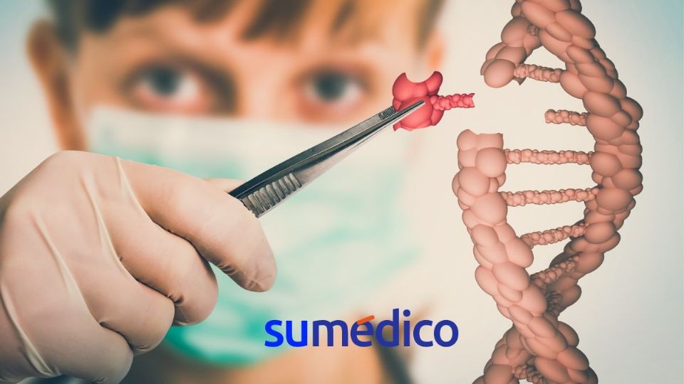 ¿Cómo la terapia genética podría ayudar a diversas enfermedades, como la hemofilia B?