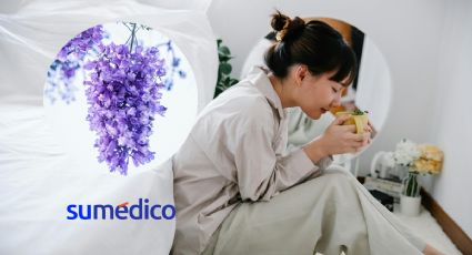 Conoce los beneficios de la infusión de jacaranda