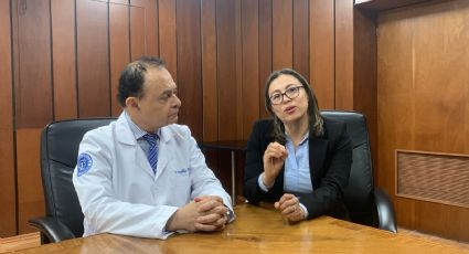 ¿Cómo se diagnóstica la insuficiencia renal crónica y qué tratamientos existen?