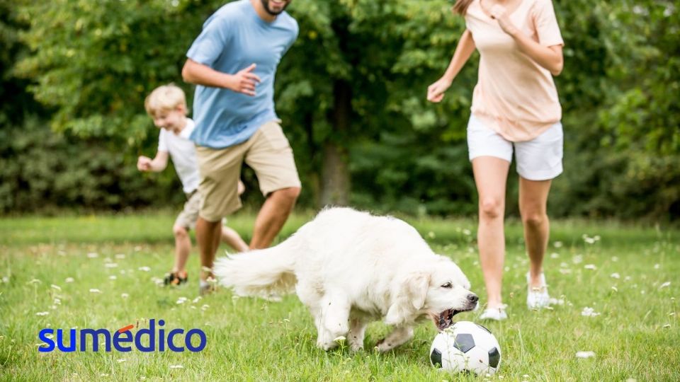 Jugar con tu perro puede traerte diferentes beneficios para la salud