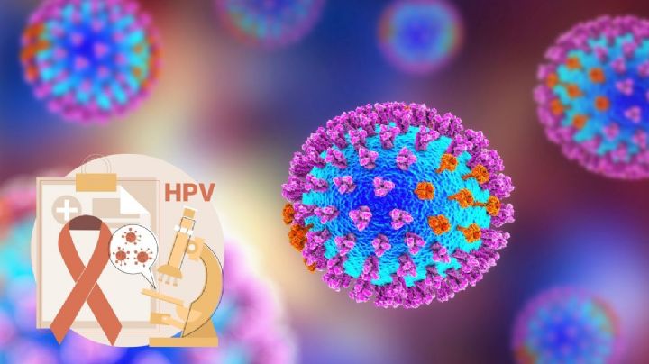 Así se transmite el VPH y estos son los tipos de cáncer que te puede causar