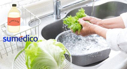 ¿Cómo se lava y desinfecta la lechuga? Conoce este truco con vinagre