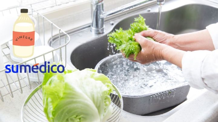 ¿Cómo se lava y desinfecta la lechuga? Conoce este truco con vinagre