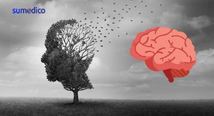 El tamaño del cerebro ha aumentado, ¿habrá menos casos de demencia?