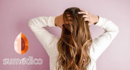 Los 5 beneficios del aceite del hueso del mamey en el cabello