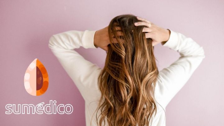 Los 5 beneficios del aceite del hueso del mamey en el cabello