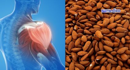 ¿Qué pasa si comes diario almendras? Así favorece la masa muscular