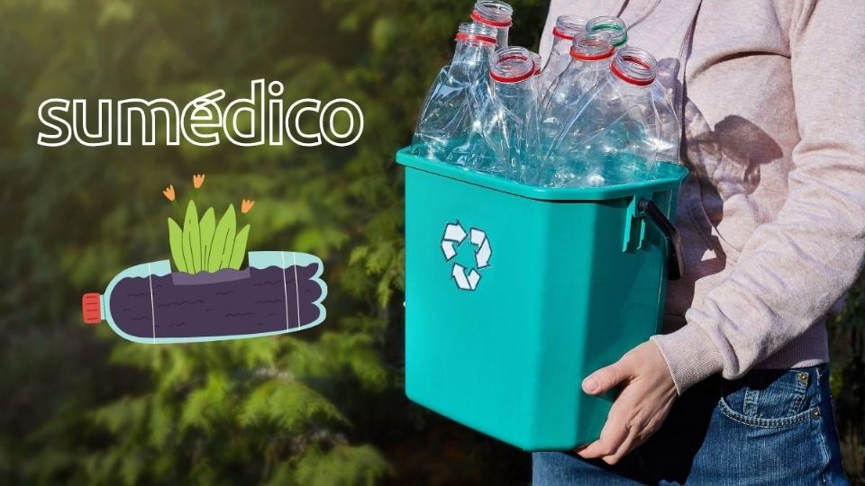 ¿Cómo darle otro uso a las botellas de plástico? Conoce estas maneras para reciclar.