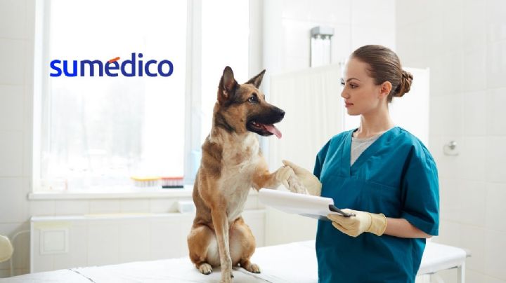 Medicalización en la medicina veterinaria, ¿bueno o malo?