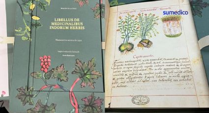 Códice de la Cruz Badiano, el libro sobre plantas medicinales