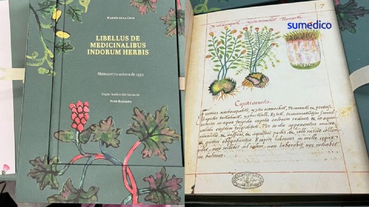 Códice de la Cruz Badiano, el libro sobre plantas medicinales