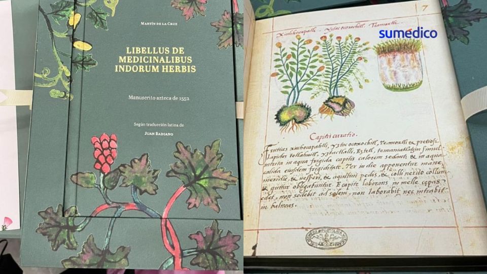 El Libellus de Medicinalibus Indorum Herbis (Librito de las hierbas medicinales de los indios) fue la primera farmacopea indígena.