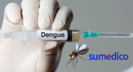 ¿Cómo funciona la nueva vacuna contra el dengue que aprobó la OMS?