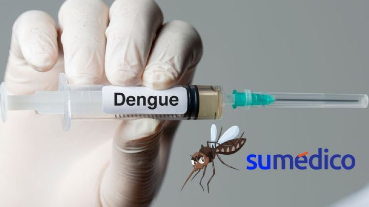 ¿Cómo funciona la nueva vacuna contra el dengue que aprobó la OMS?