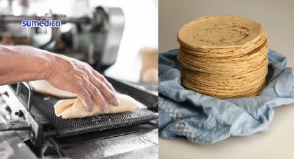 ¿No comes sin tortilla? Mexicanos consumen 75 kilos al año