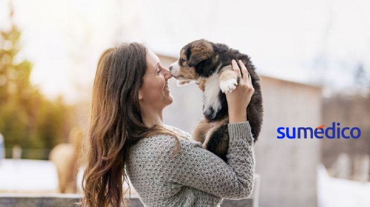 ¿Te sientes estresado? Tus perritos pueden ayudarte