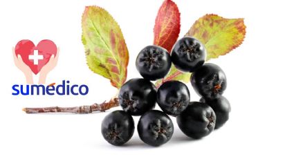 Fortalece tu salud intestinal al consumir esta fruta