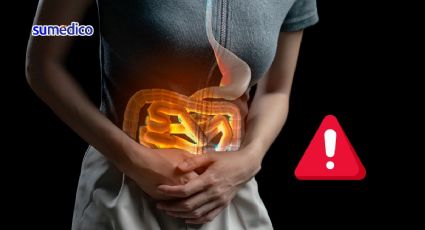 ¿Qué causa infecciones intestinales en época de calor? Experta dice cómo prevenir