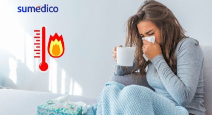 ¿Por qué te enfermas de gripe cuándo hace calor?