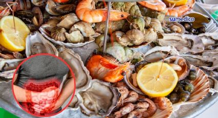 ¿Cuáles son los riesgos por comer mariscos en temporada de calor?