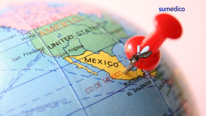 Alertan por "invasión de dengue" en México ¿Qué es y cómo afecta?