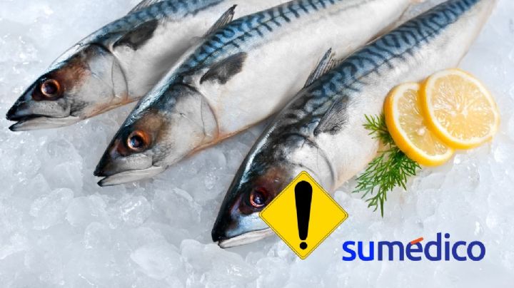 ¿Cuáles son los pescados que no debes comer?