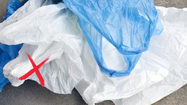 Lo que nunca deberías guardar en bolsas de plástico en tu hogar