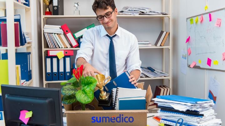 ¿Qué debes hacer si perdiste tu trabajo según Harvard?