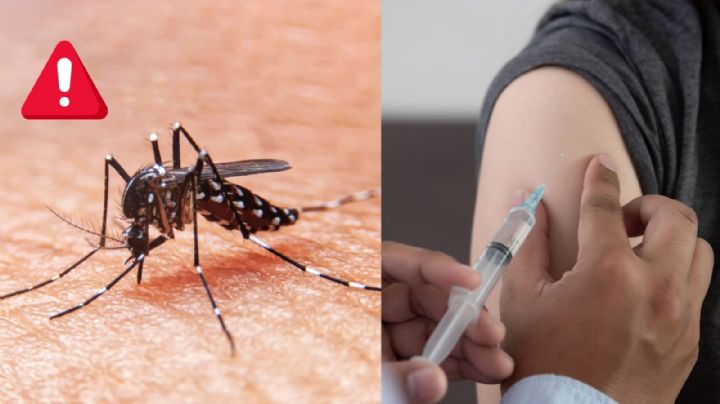 La época de lluvias incrementa los casos de dengue; así te protege la vacuna Dengvaxia