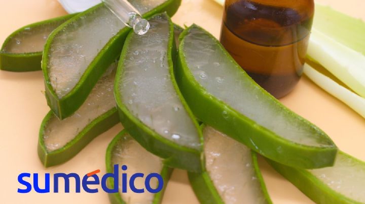 ¿Qué beneficios tiene la sábila en el cuerpo? Aprende a hacer su té