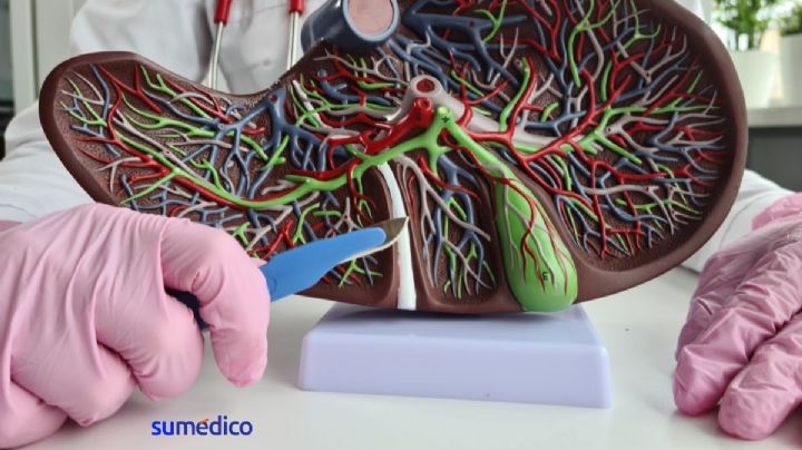 Consejos para mantener la vesícula sana