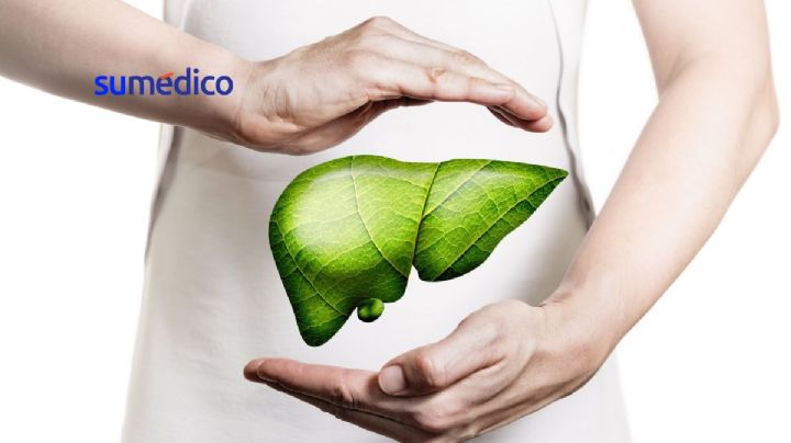 ¿Se puede rejuvenecer el hígado?