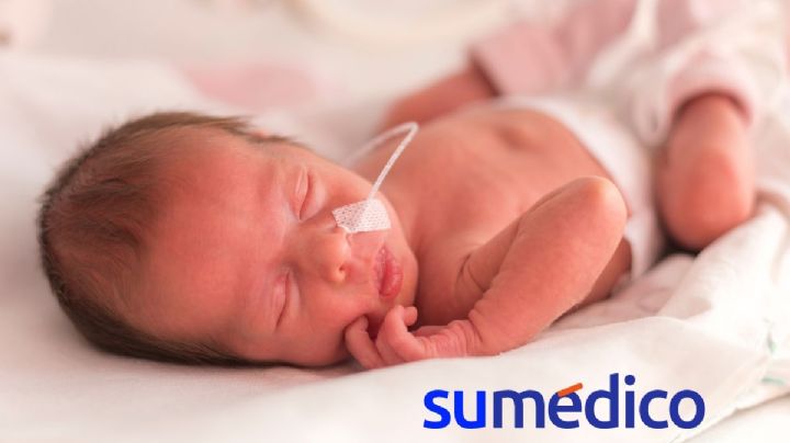 ¿Cómo es el útero artificial? Una alternativa para evitar complicaciones de salud en bebés prematuros