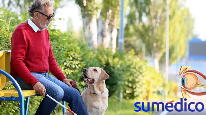 ¿Qué son las pruebas de córnea sintética que autorizó Cofepris?