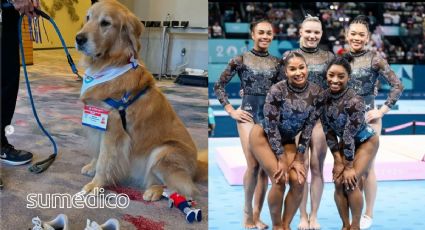 Conoce a Beacon, el perro de terapia del equipo de gimnasia de EU