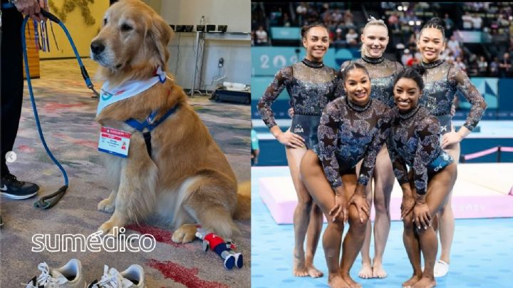 Conoce a Beacon, el perro de terapia del equipo de gimnasia de EU