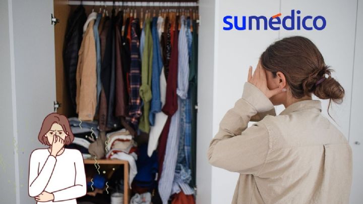 ¿Qué puedo poner en el armario para la humedad? 5 trucos que necesitas