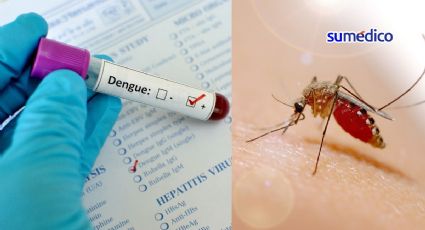 Intensifica Salud batalla contra el dengue; anuncia inversión de 50 mdp