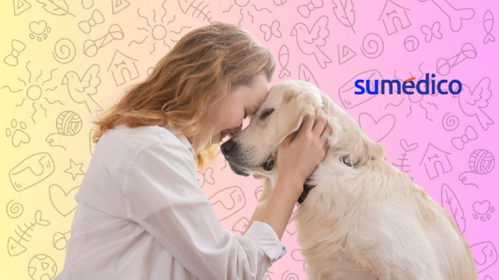 ¿Qué impacto emocional tiene la pérdida de una mascota?