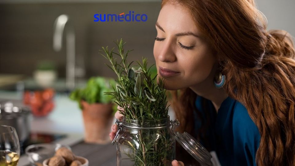 Descubre las plantas que pueden ahuyentar los malos olores de tu cocina