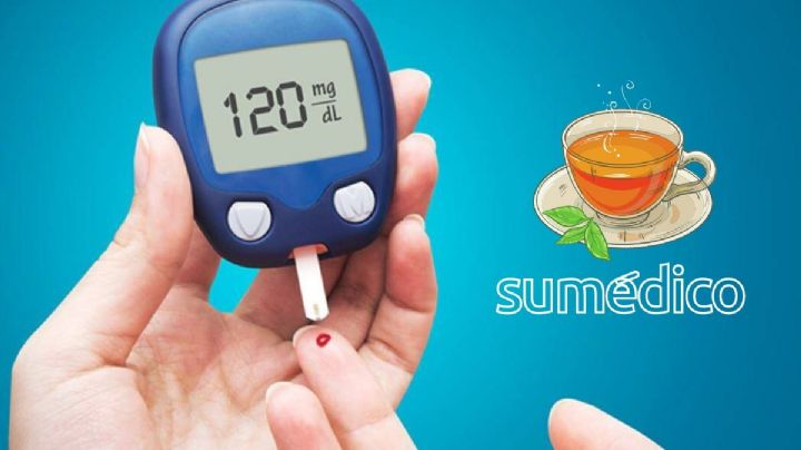 ¿La pata de vaca es recomendable para la diabetes? Aquí te lo decimos